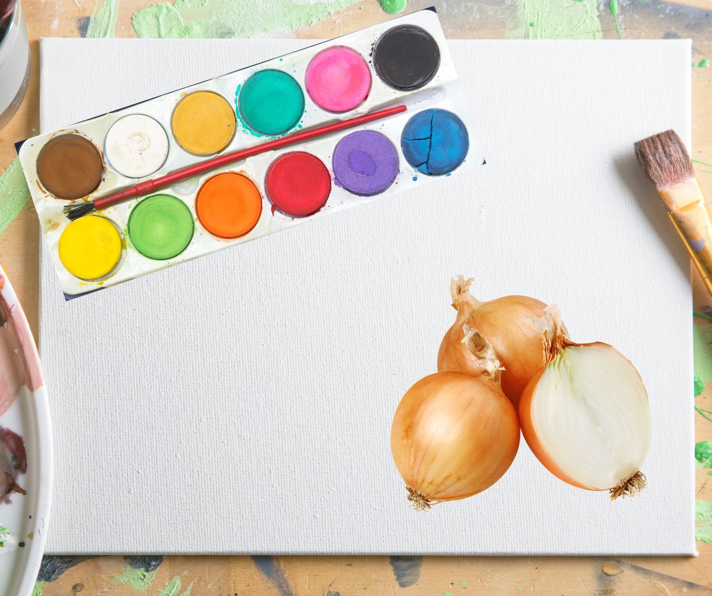 painting w onion