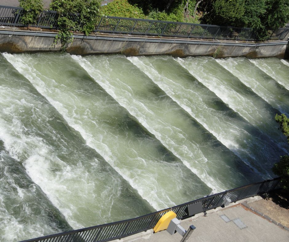 fish ladder